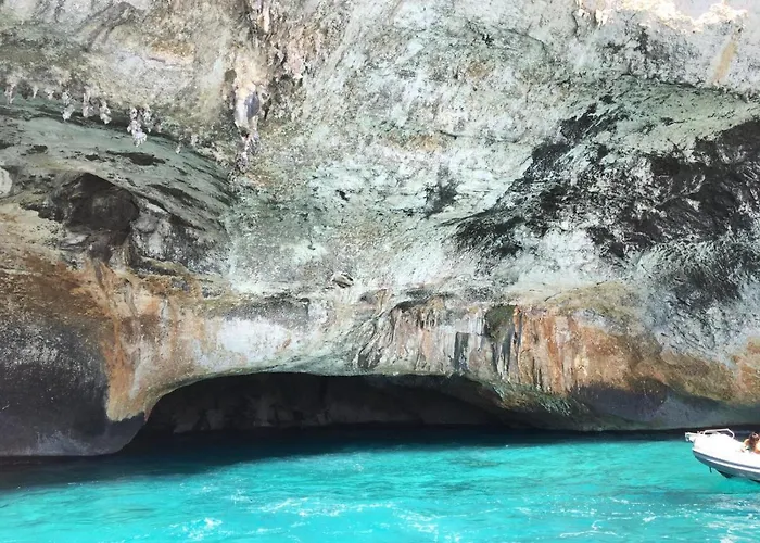 Cav Mameli 多尔加利